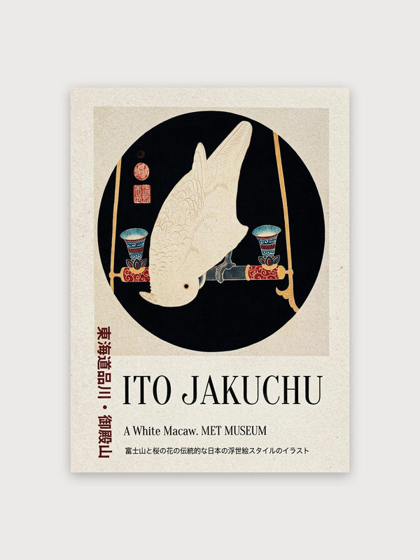 Ito Jakuchu Macaw - Digital Download