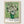Van Gogh Roses Print poster in oak frame