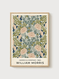 Morris Chrysanthemum