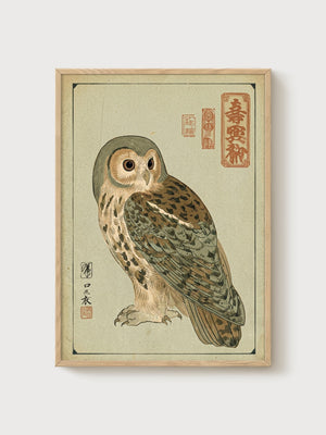 Owl Japanese Woodblock Print poster in oak frame