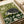 Nature-inspired linocut wall art showing a hedgehog amid flowing wildflowers and plants in black, cream, and olive green, with a peaceful boho aesthetic suitable for living room decor.
