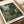 Lush equatorial forest composition with serene mood, combining impressionistic brushwork, ornate flowers in pale pink and cream, dense greenery, and a monkey inhabiting the rich botanical landscape.