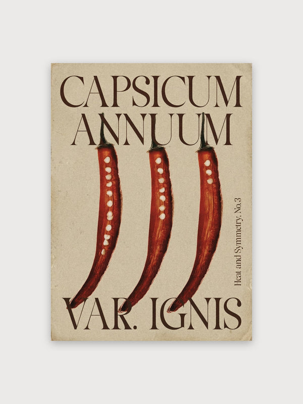 Chili Pepper Print - Digital Download