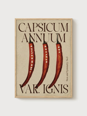 Chili Pepper Botanical Print poster in oak frame