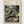 Henri Rousseau Print poster in oak frame