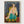 Henri Matisse Seated Odalisque Print poster in oak frame