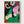 Henri Matisse Print poster in oak frame