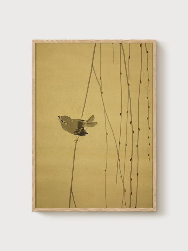 Bird Line Art Print poster in oak frame