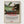 Nike Poster poster in oak frame