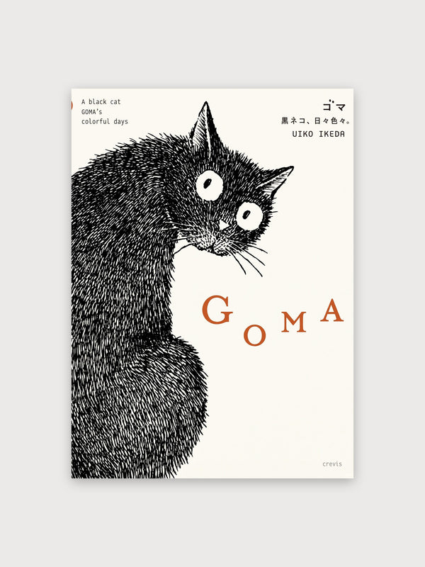 Black Cat Colorful Days - Digital Download
