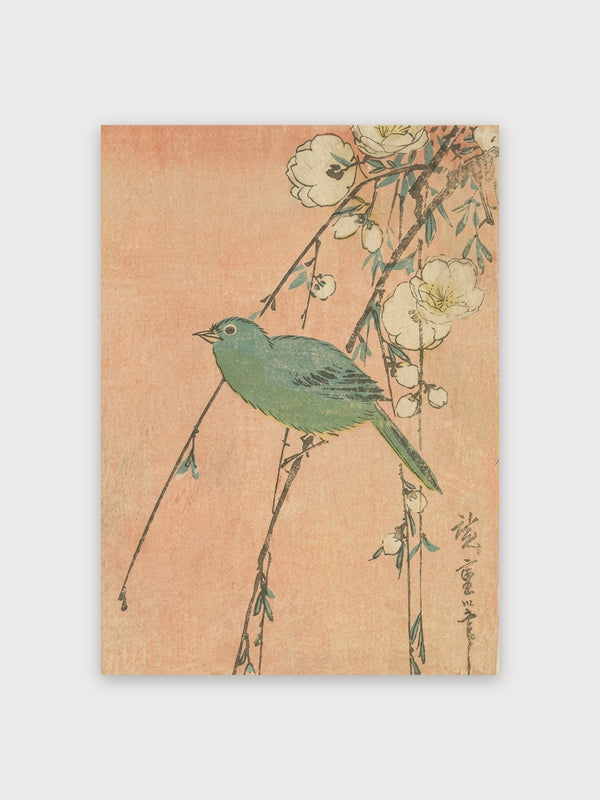 Green Bird White Flowers Branch - Digital Download