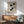 May include: Modernist black and white geometric poster with interlocking rectangular shapes and "BAUHAUS EXHIBITION JULY 23, 1923" text, displayed in thin copper frame above mid-century wooden credenza with white ceramic table lamp. Sage green upholstered armchair with wooden frame sits beside small round side table. Bright natural light casts shadows across white wall in minimalist room setting.