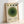 A framed poster with geometric green circles in varying shades arranged in a target pattern, with four small green dots across the top. The minimalist design features concentric circles on cream-colored paper, with "bauhaus" and "JUNE 17, 1921" printed at the bottom. The artwork is displayed in a light wood frame leaning against a white wall, showing vintage-inspired modernist design with subtle texture and clean lines.