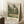 Pissarro Poplars