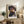 May include: Framed art print of bearded man wearing wide-brimmed hat, displayed on rustic wooden console table alongside fern plant, ceramic vase, and stacked books. Warm neutral living room setting with cream upholstered chair visible. Print features rich oil painting style with earthy tones and expressive brushwork in natural wood frame.