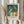 May include: Person in cream ruffled sleeves holding framed art print and dried pampas grass against white curtained window. Print shows Munch's expressionist painting with nude figures in yellow and coral tones diving and standing against teal-green background. Light wooden frame with cream matting displays the artwork in soft natural lighting.