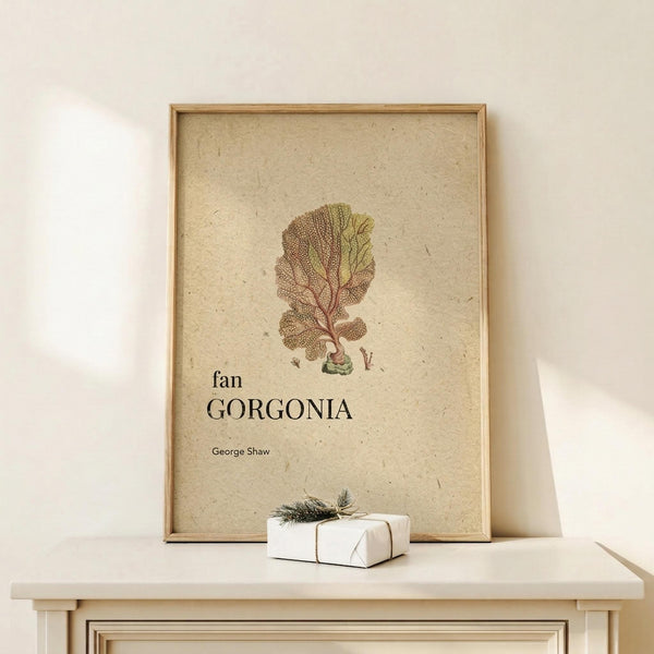 May include: A framed botanical print featuring a detailed fan coral illustration in muted pink and green tones on textured cream paper. The artwork displays "fan GORGONIA" and "George Shaw" in elegant typography. Shown in a light wood frame on a pale wooden console table beside a small wrapped gift with twine and evergreen sprig against a soft beige wall.