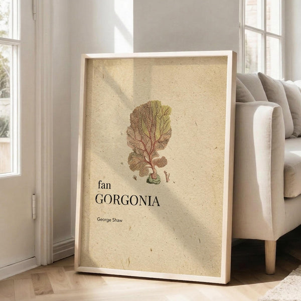 May include: Framed botanical print featuring a detailed fan coral illustration in earthy tones of brown, yellow and green on aged cream background, displayed in light wood frame leaning against white wall next to beige upholstered chair in bright modern living room with large windows and natural sunlight streaming across wooden floors.