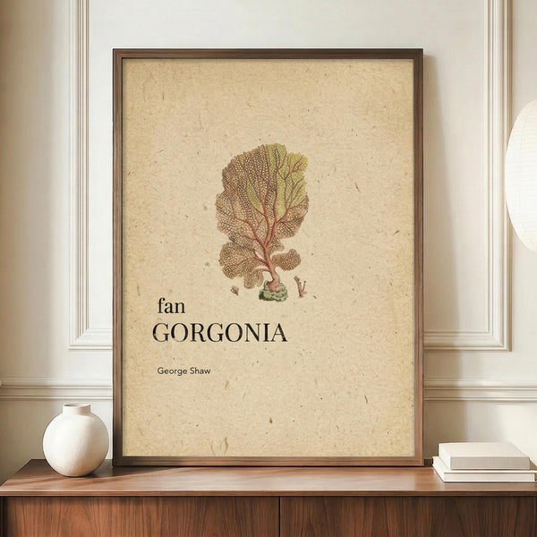 May include: Framed vintage botanical illustration of a fan-shaped coral or sea fan specimen in muted browns and greens on aged cream paper, displayed on a wooden sideboard beside white ceramic vase and stacked books in a room with cream wainscoting and white walls.