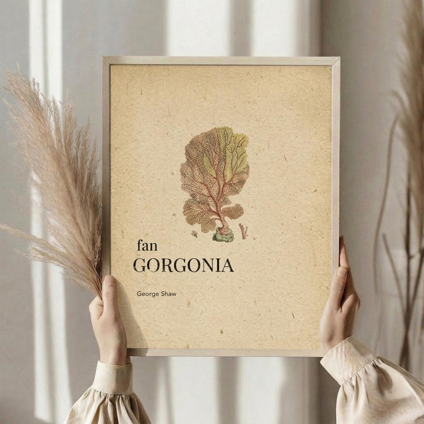 May include: Hands holding a framed vintage botanical illustration of a fan-shaped coral or sea fan specimen in muted browns and greens on aged parchment paper. The scientific print features delicate branching patterns and is displayed in a simple light wood frame. Dried pampas grass visible to the left, neutral beige clothing and soft window lighting create a minimalist, natural styling.