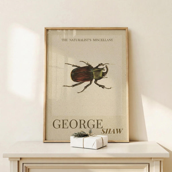 May include: Framed vintage-style naturalist poster featuring detailed beetle illustration with dark wing covers and green thorax against cream background. Text reads "The Naturalist's Miscellany" and "George Shaw" in serif font. Light wood frame displayed on white wooden console with small wrapped gift box beside it. Neutral wall backdrop with soft natural lighting.