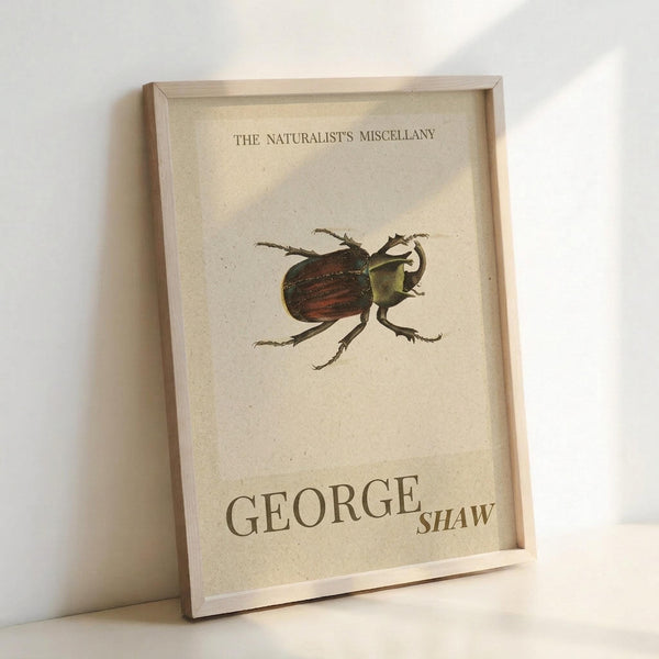 May include: Vintage-style scientific illustration poster in natural wood frame leaning against white wall. Features detailed beetle drawing with reddish-brown and green coloring on cream textured background. Title "The Naturalist's Miscellany" appears at top, author name "George Shaw" at bottom in classic serif typography. Frame casts soft shadow on wall surface.