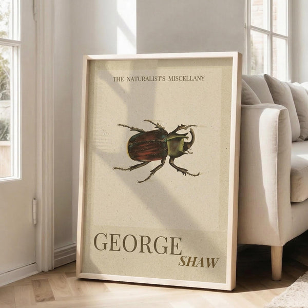 May include: A framed vintage-style poster featuring a detailed beetle illustration with red and brown wing covers and green body, displayed against a beige background. The print shows "THE NATURALIST'S MISCELLANY" at top and "GEORGE SHAW" at bottom in serif typography. The light wood frame leans against white walls in a bright room with large windows, positioned next to a beige upholstered sofa with pillows on light wooden floors.