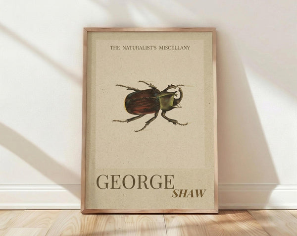 May include: Framed vintage-style botanical print featuring a detailed illustration of a beetle with dark reddish-brown and green coloring on aged cream paper. Text reads "The Naturalist's Miscellany" at top and "George Shaw" at bottom. Natural wood frame leans against white wall on light wooden floor with soft shadows.