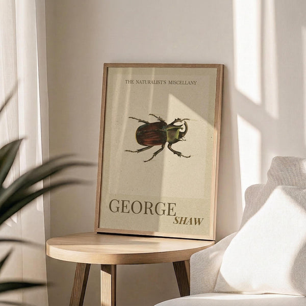 May include: Framed vintage-style botanical print featuring a detailed brown and green beetle illustration on cream background with "The Naturalist's Miscellany" and "George Shaw" text, displayed on round wooden side table next to beige upholstered chair with plant leaves visible, natural sunlight casting shadows across neutral-toned room setting.