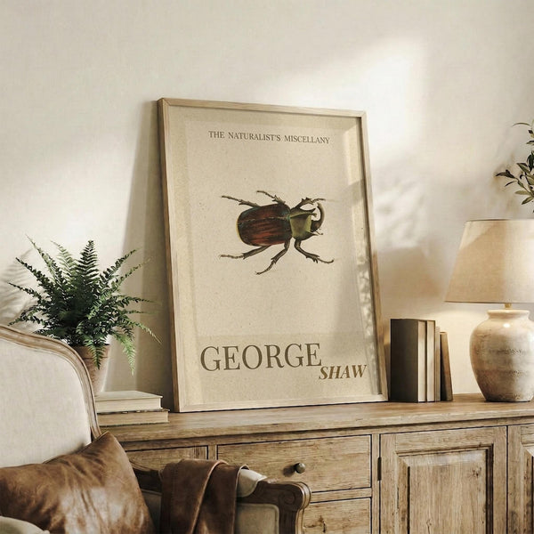 May include: Framed vintage-style naturalist poster featuring detailed beetle illustration with "The Naturalist's Miscellany" and "George Shaw" text, displayed on rustic wooden sideboard alongside fern plant, books, ceramic vase, and brown leather chair in warm-toned living room setting with cream walls.