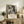 May include: Black and white abstract Jackson Pollock exhibition poster in light wood frame, displayed on rustic wooden credenza alongside fern plant, books, and ceramic vase in neutral-toned living room with beige chair and brown throw pillows