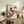 May include: Framed vintage-style poster featuring two detailed birds with reddish-brown and gray plumage perched on leafy branches, displayed on a rustic wooden sideboard alongside a fern plant, ceramic vase, and books in a neutral-toned living room setting with beige chair visible.