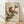May include: Framed Japanese-style artwork showing two birds with russet-orange breasts and long curved beaks perched on leafy branches, displayed in a light wood frame against a white textured wall on natural wood flooring with soft natural lighting creating diagonal shadows.