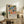 May include: Framed colorful botanical art print displayed on rustic wooden sideboard in modern living room. Artwork features vibrant abstract plants, fruits and leaves in blues, oranges, greens and pinks with "Celebrating Colors of Life" text below. Scene includes fern plant, ceramic vases, books, cream upholstered chair and neutral walls with natural lighting.