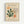 Framed exhibition poster featuring Matisse's cut-paper artwork in abstract organic shapes. Green seaweed-like forms, orange coral shapes, and tan outlined botanical elements arranged on cream background. Text reads "Matisse Papiers Découpés" and "Berggruen & Cie" with Paris gallery details and 1953 exhibition dates. Light wood frame against white wall.