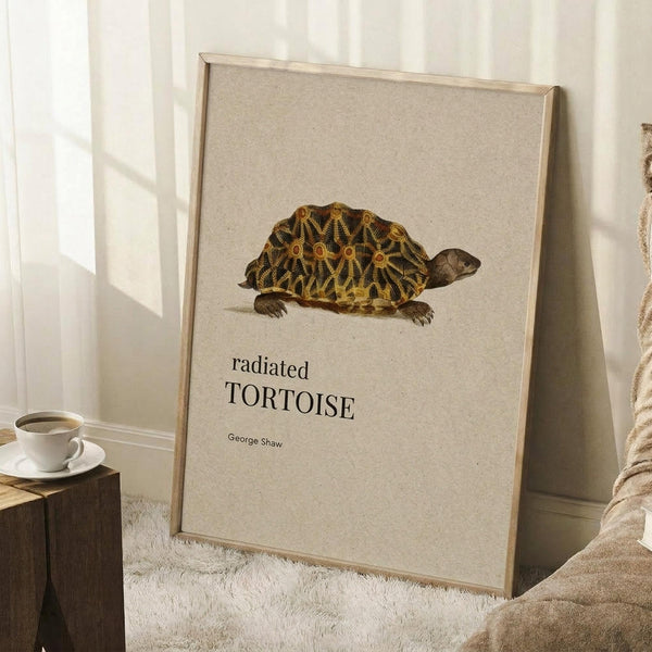 May include: Vintage-style natural history poster featuring a detailed illustration of a radiated tortoise with ornate shell patterns in browns and golds, displayed in a light wooden frame. The print has cream textured background with black text below the tortoise illustration. Scene shows the framed artwork leaning against a white wall on a fluffy white rug, with a coffee cup on a wooden side table and soft natural lighting from a nearby window.