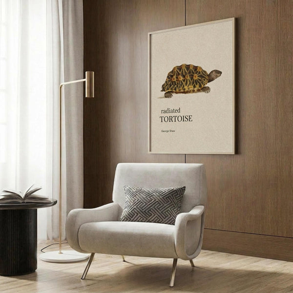 May include: Vintage-style poster featuring detailed illustration of radiated tortoise with geometric shell pattern in brown and yellow tones, displayed in light wooden frame against wood panel wall, shown with beige upholstered armchair, geometric patterned throw pillow, brass floor lamp, and dark round side table in modern neutral living room setting