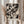 May include: Person in cream ruffle-sleeve top holding framed abstract expressionist artwork featuring black paint splatters and drips on beige background, standing near dried pampas grass against soft neutral curtained window setting