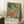 May include: Framed Japanese woodblock print poster leaning against white wall in cozy room setting. Green geometric patterned background features colorful illustrations of animals, figures in traditional robes, and a monk with tiger. Natural wood frame, positioned on white textured rug next to wooden side table with coffee cup. Soft natural lighting creates window shadows on wall.