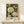 May include: Framed botanical art print featuring cream and white peonies, orange ranunculus, blue butterfly, and small flowers on dark green background, displayed on light wood console table next to small white wrapped gift with twine and sprig accent against cream wall