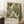 May include: Framed poster with flowing green and cream botanical leaf design in ornate swirling pattern, displayed in light wood frame leaning against white wall. Cozy room setting with white coffee cup on wooden surface, cream textured rug, and soft beige throw blanket with natural window lighting creating gentle shadows.