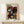 May include: Framed poster with black background featuring colorful polka-dotted mushrooms in various sizes and patterns. White, pink, orange, and blue spotted fungi scattered across dark surface with floating circles. Text reads "YAYOI KUSAMA" and "1972" with Japanese characters. Natural wood frame displayed on light wooden surface next to small white wrapped gift with dried plant sprig.