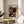 May include: Framed exhibition poster with black background featuring colorful polka-dotted mushrooms in pink, orange, white, and blue tones, displayed on light wood round side table next to beige upholstered chair, with plant leaves visible in corner and natural window light creating shadows on white wall