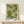 May include: Framed green and white dotted pattern artwork with radiating circular designs and Japanese text, displayed on light wood surface next to small wrapped gift with twine and evergreen sprig against cream wall
