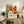 May include: Framed poster with colorful floral pattern in orange, brown and cream tones featuring polka dots and stylized flowers, displayed on rustic wooden sideboard next to fern plant, ceramic vase, and books in warm-toned living room setting with beige upholstered furniture.