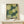 May include: Framed art print with green polka dot pattern featuring overlapping circles in various shades of green and cream on dark teal background, displayed on light wood console table next to small wrapped gift with sprig decoration against cream wall