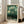 May include: Framed art print with green background featuring stylized trees, polka dots, and organic shapes in cream and orange tones. Text reads "YAYOI KUSAMA" with Japanese characters and "KYOTO" below. Light wood frame leaning against white wall next to beige upholstered chair in bright living room with large windows.
