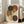 May include: Abstract art print in light wood frame leaning against white wall next to beige sofa. Artwork features overlapping circles in earthy brown, rust, mustard yellow, and cream tones with black dotted pattern running vertically through center. Modern minimalist living room setting with bright natural light from windows.