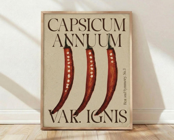May include: Framed botanical-style poster showing three red chili peppers with white seed dots, displayed against white fabric backdrop on light wooden floor. The vintage-inspired print features beige background with dark brown text reading "CAPSICUM ANNUUM" and "VAR. IGNIS" plus "Heat and Symmetry No.3" in smaller text. Natural wood frame with clean lines complements the scientific illustration aesthetic.