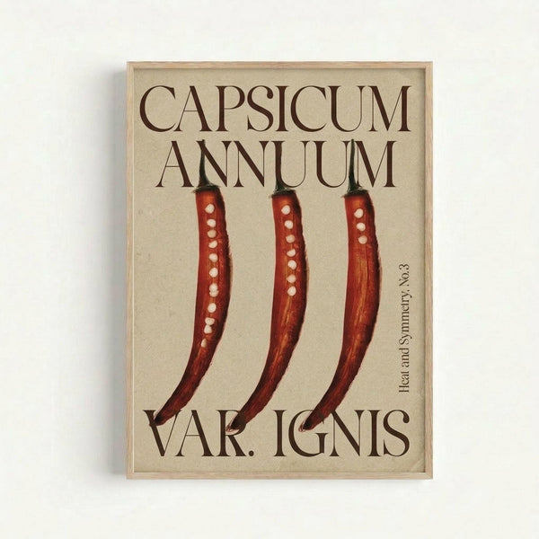 Botanical illustration poster featuring three red chili peppers with white spots arranged vertically on cream background. Scientific Latin text "CAPSICUM ANNUUM" at top and "VAR. IGNIS" at bottom in brown serif font. "Heat and Symmetry No.3" appears in small text on right side. Displayed in natural wood frame against white wall in minimal styling.